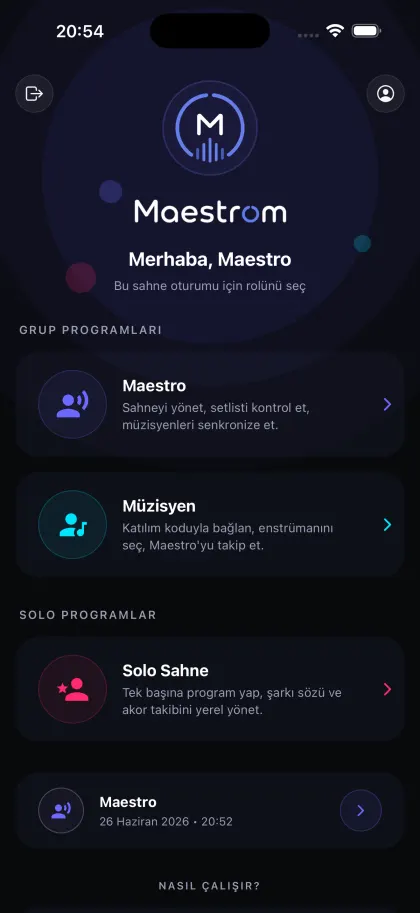 Role selection screen with Maestro, Musician and Solo Stage